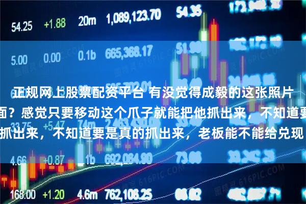 正规网上股票配资平台 有没觉得成毅的这张照片特别像坐在抓娃娃机里面？感觉只要移动这个爪子就能把他抓出来，不知道要是真的抓出来，老板能不能给兑现！#成毅#